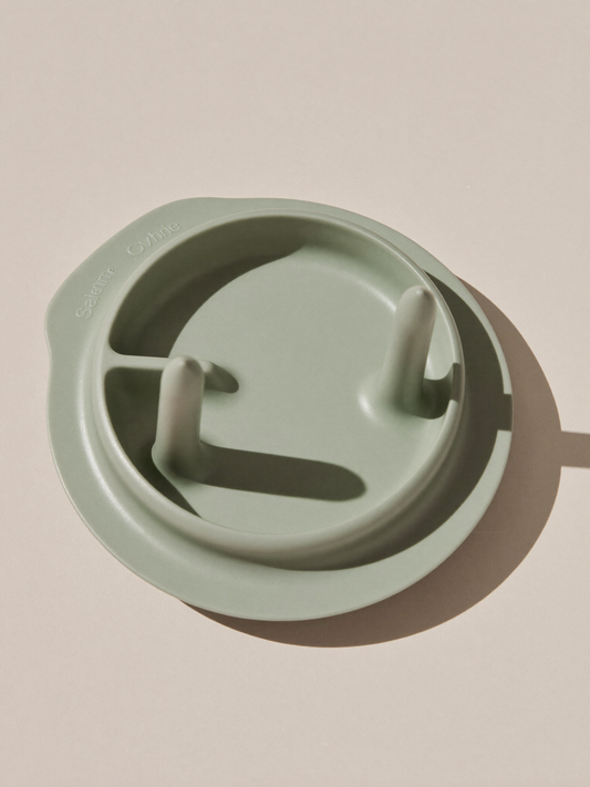 PLACEHOLDER (AI-generated) - Sage silicone divided suction plate on cream